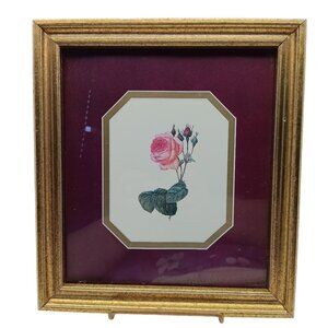 Vintage Framed Botanical Rose Print With Gold Frame